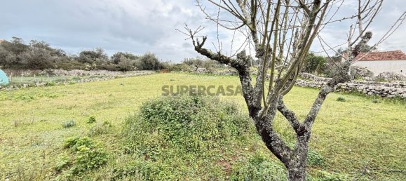 2 chambres Maison à Alcobertas, Portugal No. 155073 34
