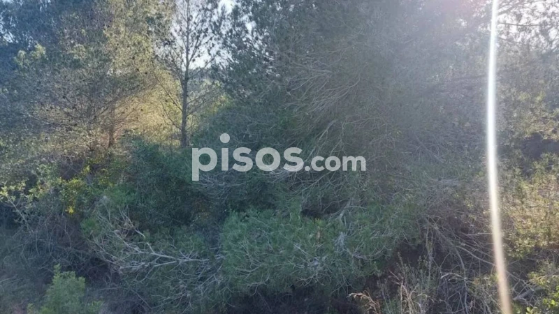  قطعة أرض في Tarragona, Spain 97614متر مربع رقم 252889