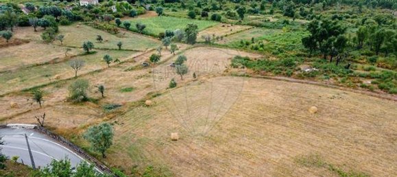 9 bedrooms House in Carregal do Sal, Portugal No. 185830 25