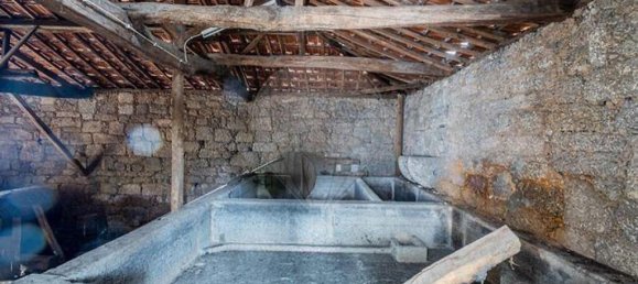 9 bedrooms House in Carregal do Sal, Portugal No. 185830 23