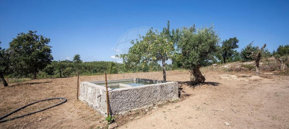 9 bedrooms House in Carregal do Sal, Portugal No. 185830 27