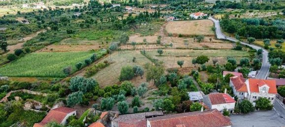 9 bedrooms House in Carregal do Sal, Portugal No. 185830 35