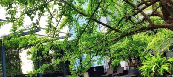 شقة 1 غرف نوم في Bangkok, Thailand رقم 7265 21