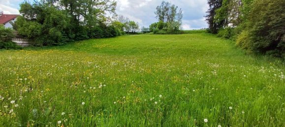 Земельный участок 1406м² в Ноймаркт ин дер Штайермарк, Австрия № 162364 4