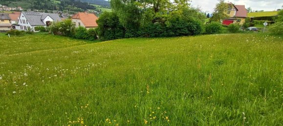 Земельный участок 1406м² в Ноймаркт ин дер Штайермарк, Австрия № 162364 3