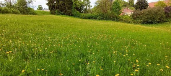 Земельный участок 1406м² в Ноймаркт ин дер Штайермарк, Австрия № 162364 5