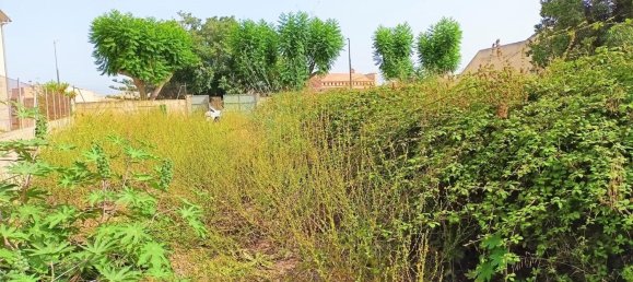 Grundstück in Muro, Spain 1082m², Nr. 92195 3