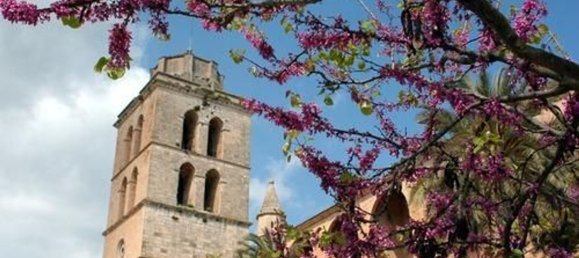 Grundstück in Muro, Spain 1082m², Nr. 92195 17