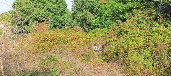 Grundstück in Muro, Spain 1082m², Nr. 92195 5