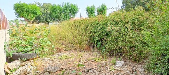 Grundstück in Muro, Spain 1082m², Nr. 92195 11