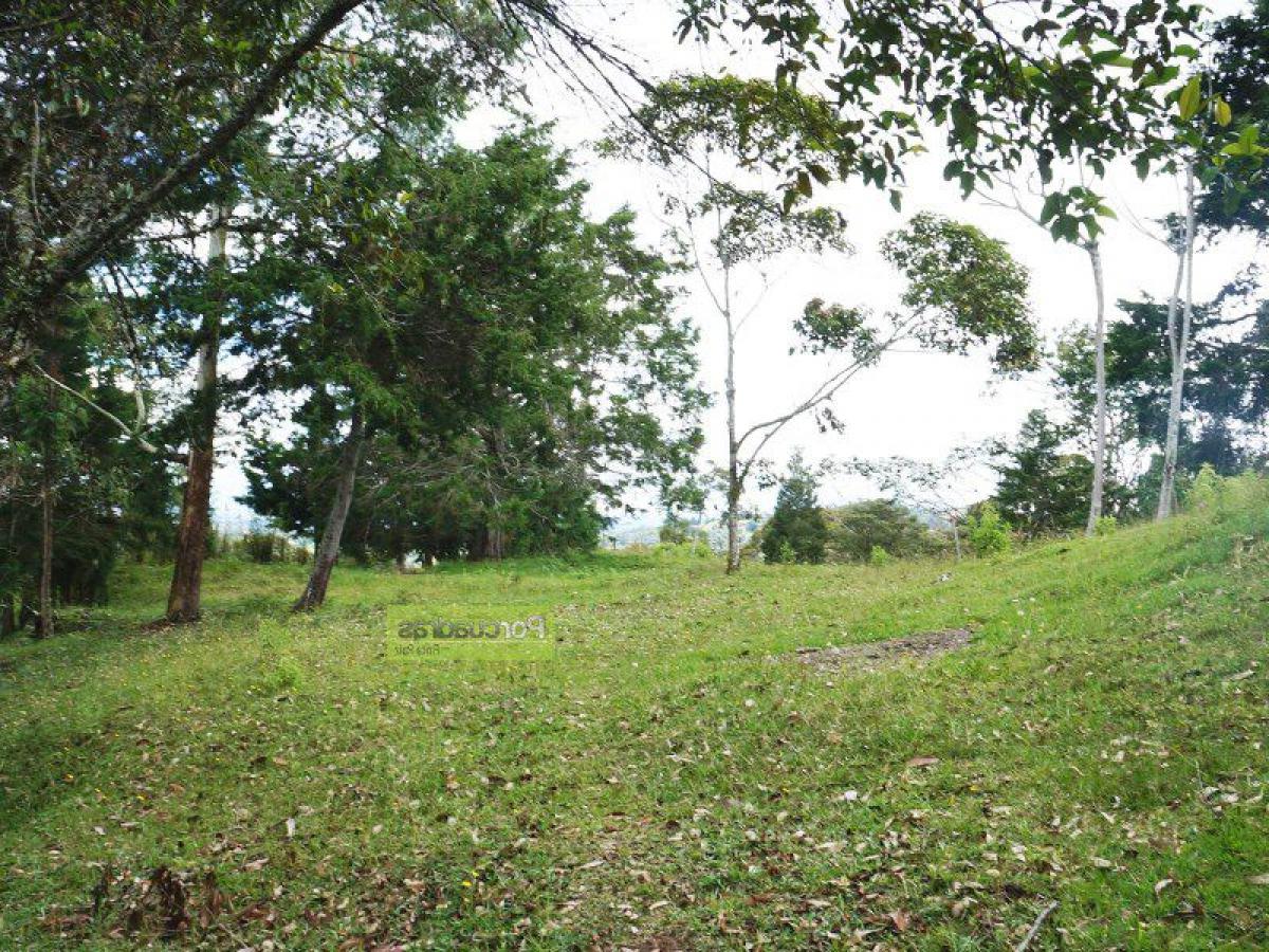  Land in Antioquia, Colombia No. 616