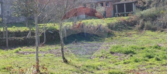 1970m² Land in Oliveira de Frades, Portugal No. 43603 10