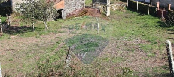 1970m² Land in Oliveira de Frades, Portugal No. 43603 12