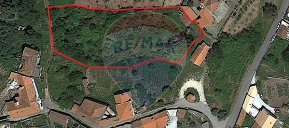 1970m² Land in Oliveira de Frades, Portugal No. 43603 4