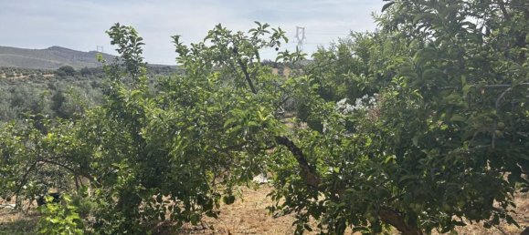 Almacén en Antequera, Spain 156 m² No. 148495 25