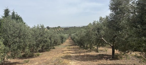 Almacén en Antequera, Spain 156 m² No. 148495 30