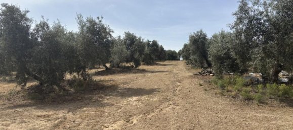 Almacén en Antequera, Spain 156 m² No. 148495 13