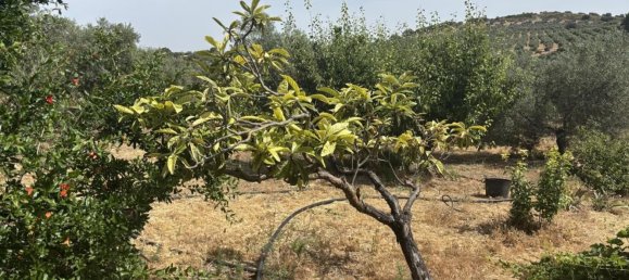 Almacén en Antequera, Spain 156 m² No. 148495 38