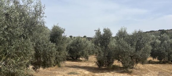 Almacén en Antequera, Spain 156 m² No. 148495 22