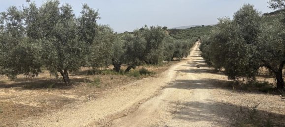 Almacén en Antequera, Spain 156 m² No. 148495 11