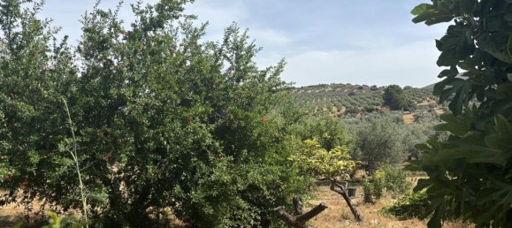 Almacén en Antequera, Spain 156 m² No. 148495 34