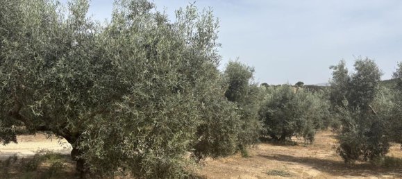 Almacén en Antequera, Spain 156 m² No. 148495 9