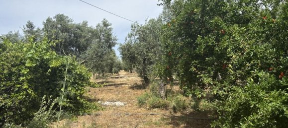 Almacén en Antequera, Spain 156 m² No. 148495 36