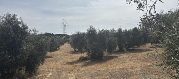 Almacén en Antequera, Spain 156 m² No. 148495 7