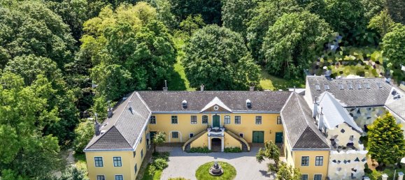 Вилла с 15 комнатами в Вена, Австрия № 101643 4