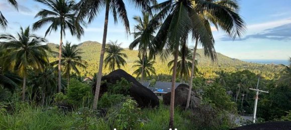  Commercial property in Surat Thani, Thailand No. 23515 2