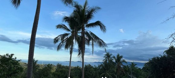  Commercial property in Surat Thani, Thailand No. 23515 3