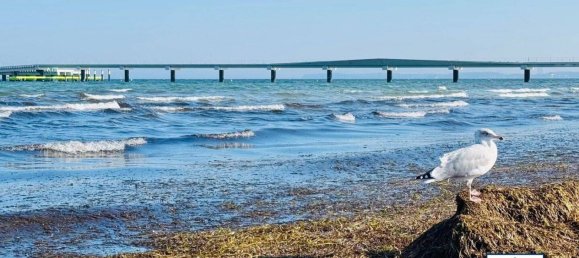 استوديو في Ostholstein, Germany رقم 32150 14