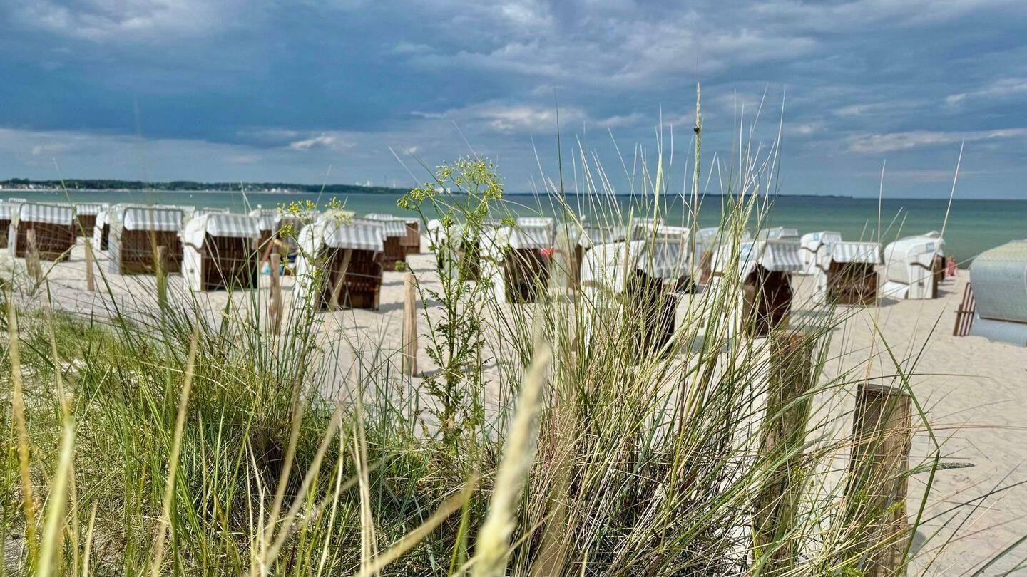 استوديو في Ostholstein, Germany رقم 32150