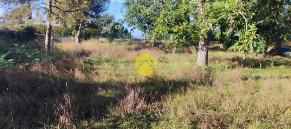 2 غرف نوم منزل في Saint-Amand-Montrond, France رقم 227004 2