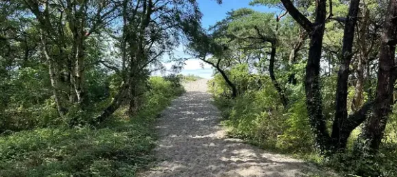 3 غرف نوم بنغالو في Vorpommern-Rugen, Germany رقم 332828 2