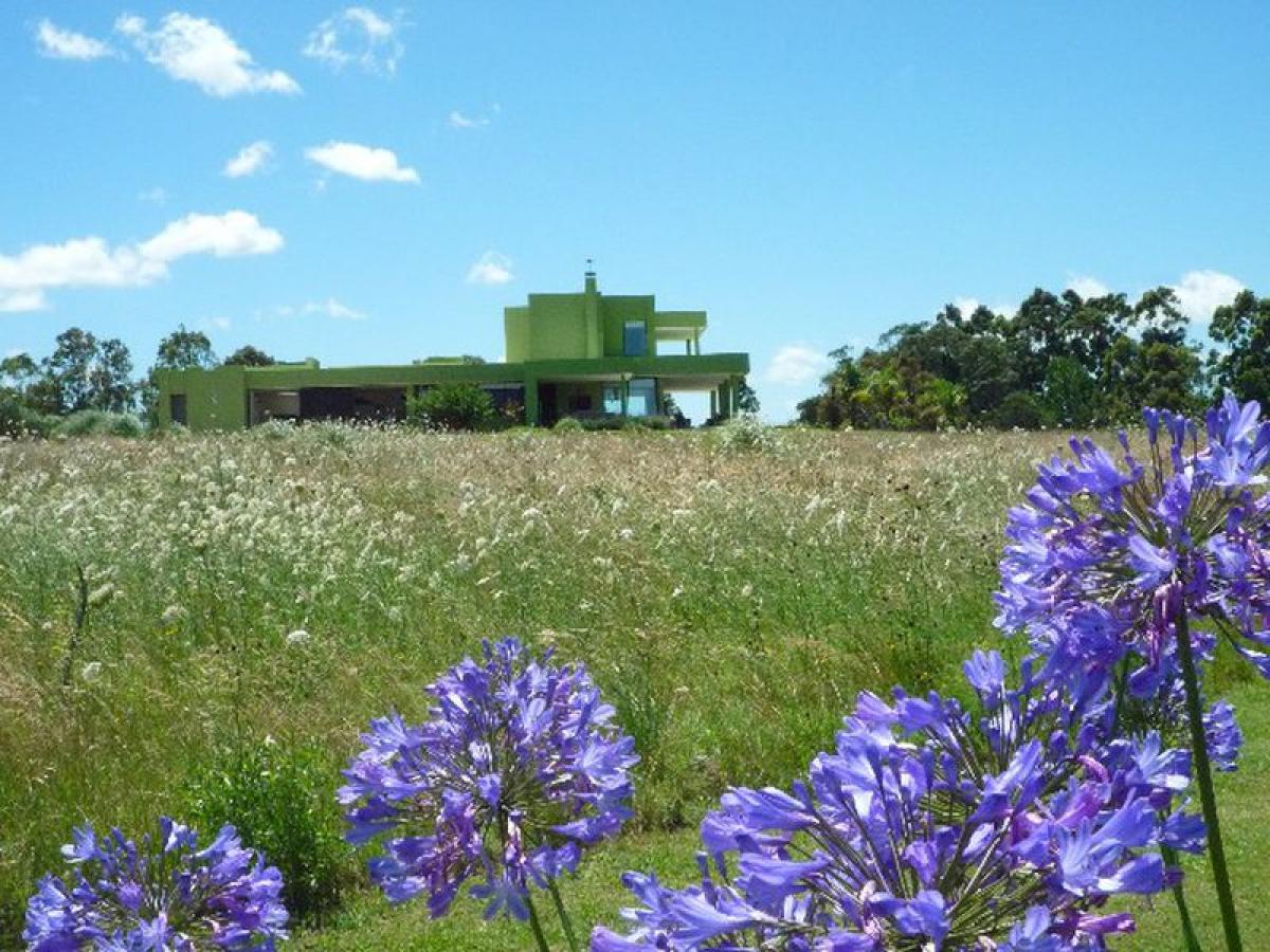  Farm in Maldonado, Uruguay No. 15250