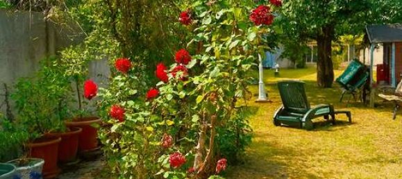 4 Schlafzimmer Haus in Thiais, France, Nr. 333309 2