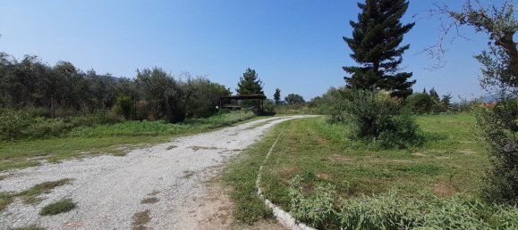 4 Schlafzimmer Gewerbliche Immobilie in Polygyros, Greece, Nr. 3496 20