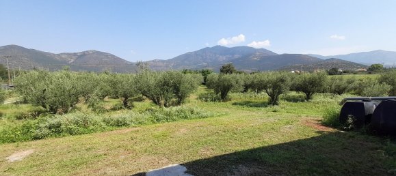4 dormitorios propiedad comercial en venta en Polygyros, Chalkidiki, Central Macedonia, Macedonia and Thrace, Greece № 3496 19