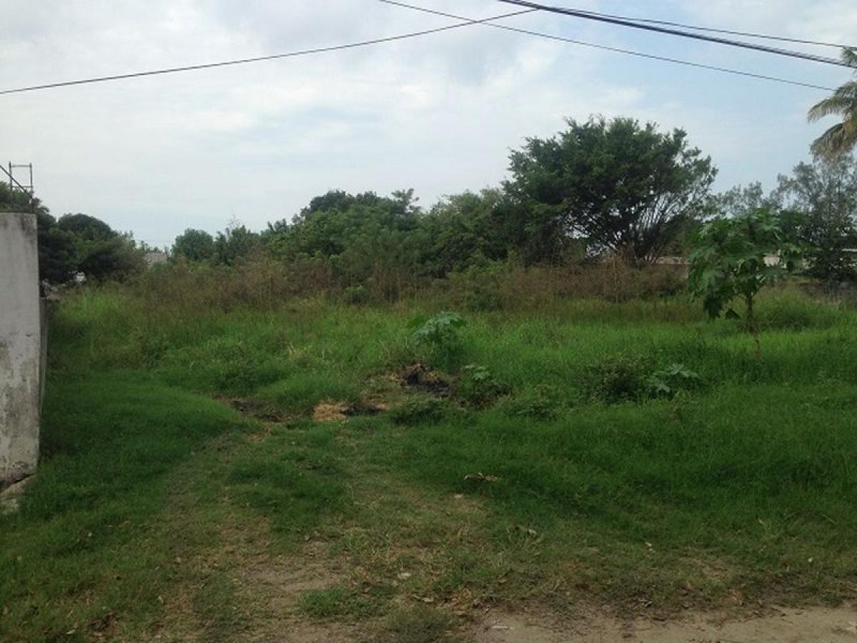 Земельный участок в Веракрус, Мексика № 202947