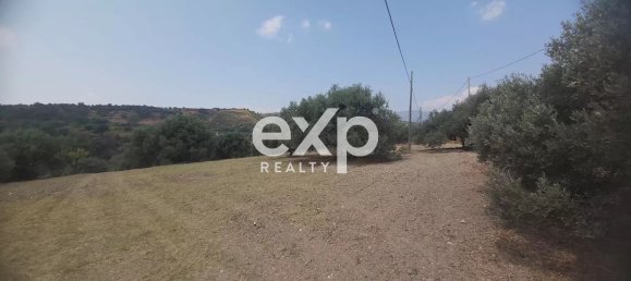  Land in Reggio Calabria, Italy No. 360016 13