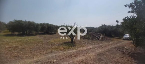  Land in Reggio Calabria, Italy No. 360016 14