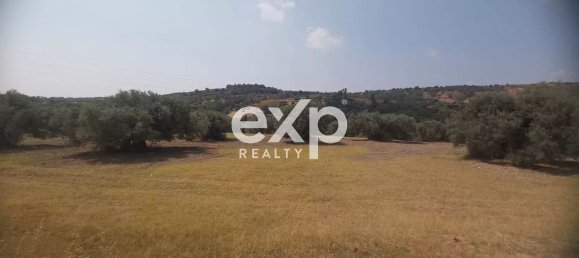  Land in Reggio Calabria, Italy No. 360016 7