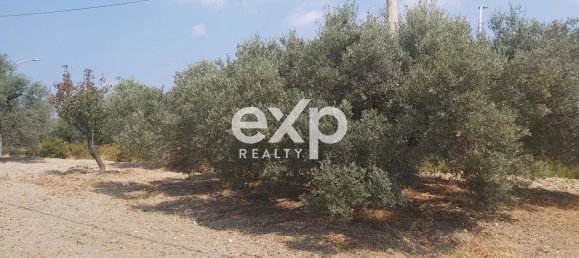  Land in Reggio Calabria, Italy No. 360016 12