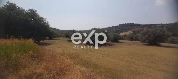 Land in Reggio Calabria, Italy No. 360016 3