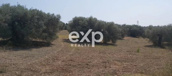  Land in Reggio Calabria, Italy No. 360016 16