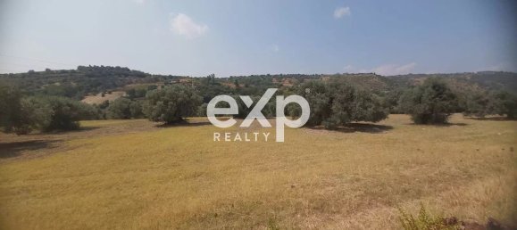  Land in Reggio Calabria, Italy No. 360016 5