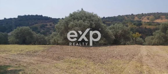  Land in Reggio Calabria, Italy No. 360016 9
