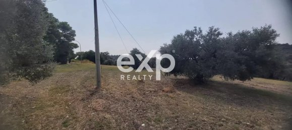  Land in Reggio Calabria, Italy No. 360016 10