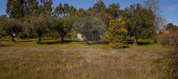 Земельный участок 3160м² в Пенамакор, Португалия № 76573 6